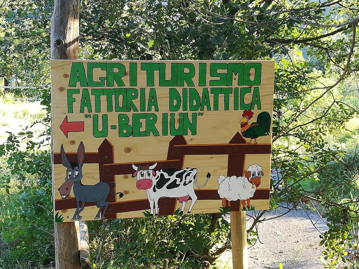 Luksusowy namiot Agricampeggio U Beriun Onzo
